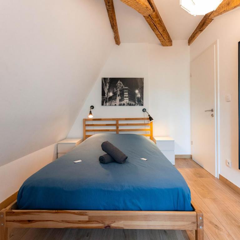 Colmar Historic Center - BELLE ALSACE 5 - 4 étoiles - Superior Apartment - 19
