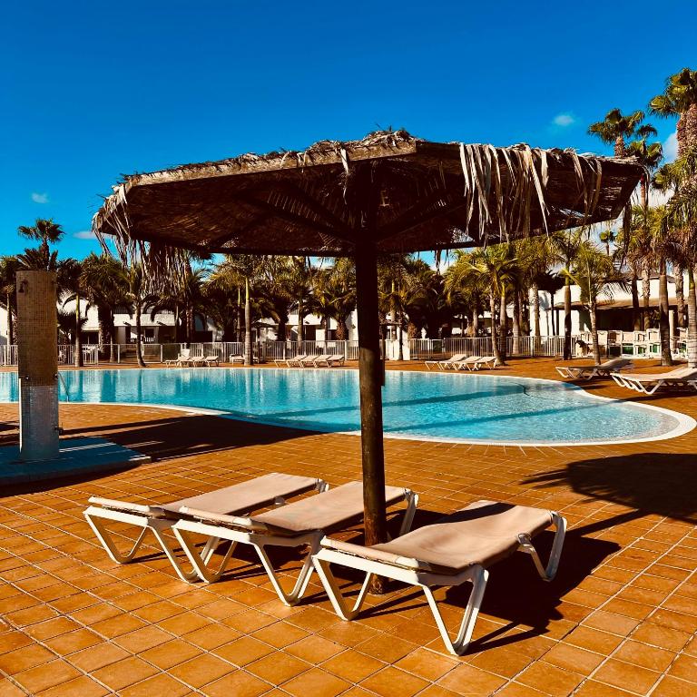 Viento Azul - Apartamento de 1 dormitorio - 23