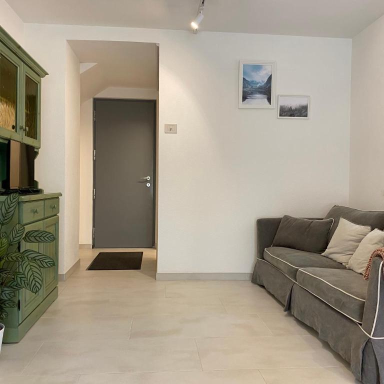 Piano terra con esterno privato vicino a Pinzolo - Appartamento con 2 Camere da Letto - 33