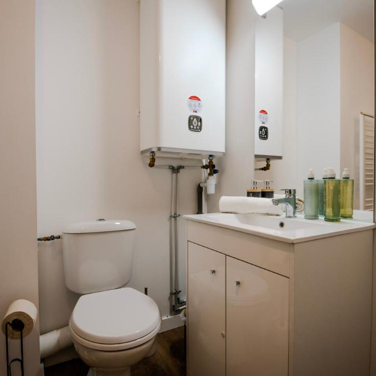 Cocon Segrais - T2 Vaugueux - Abbaye aux Dames - Appartement 1 Chambre Supérieur avec Balcon - 18
