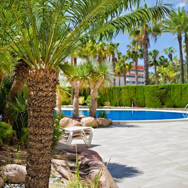 Apartamento Coralbeach 28A - Grupo Turis - Apartment - 38