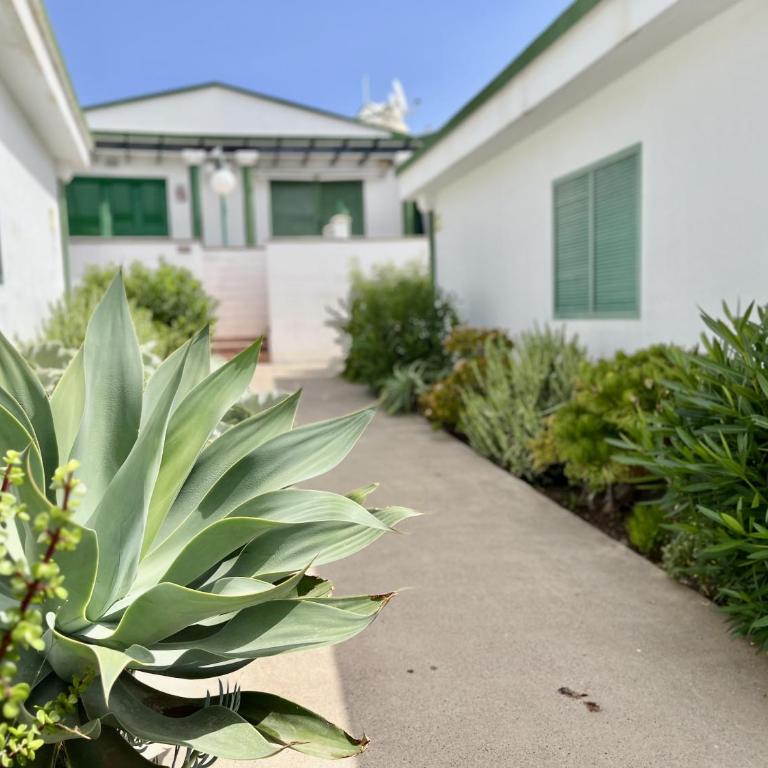 Bungalow en complejo tranquilo en Maspalomas - Vacation Home - 18