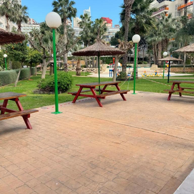 Gemelos 22-3-2 - Apartamento de 1 dormitorio - 29