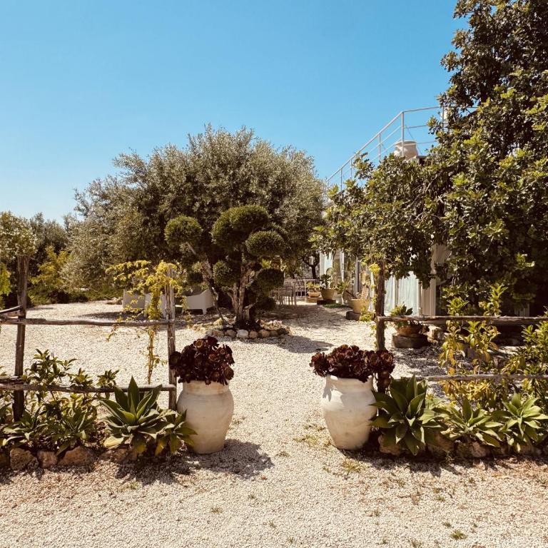 Villa Il Carrubo val di noto con piscina privata - Villa con 2 Camere da Letto - 7