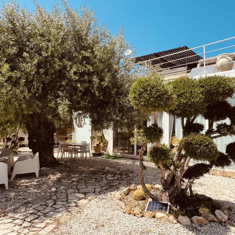 Villa Il Carrubo val di noto con piscina privata - Villa con 2 Camere da Letto - 4