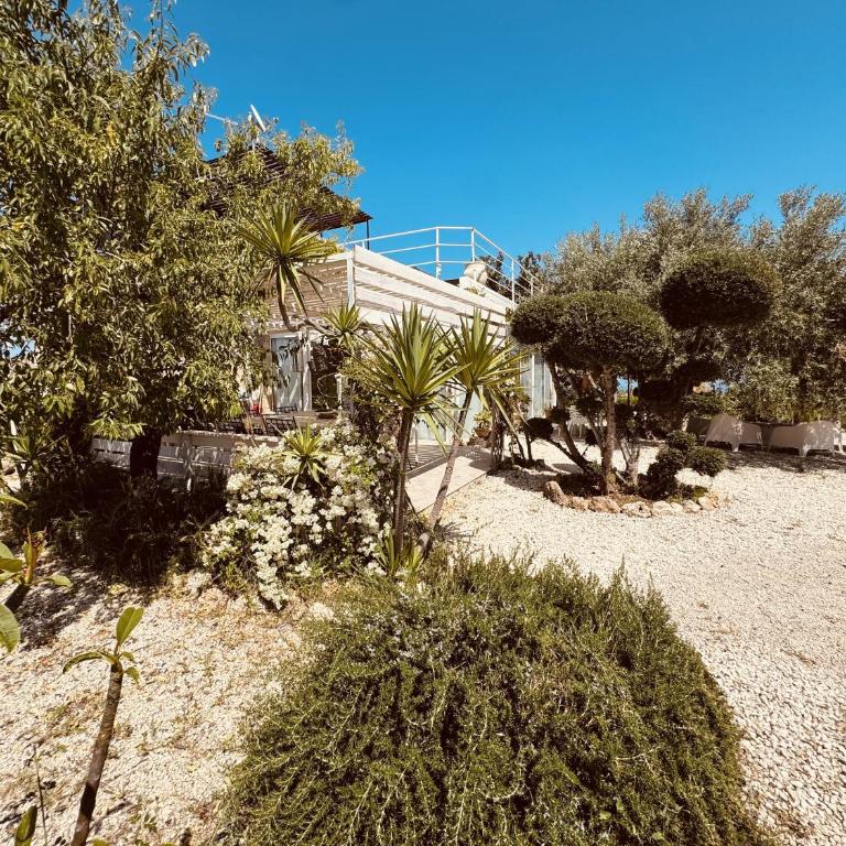 Villa Il Carrubo val di noto con piscina privata - Villa con 2 Camere da Letto - 66