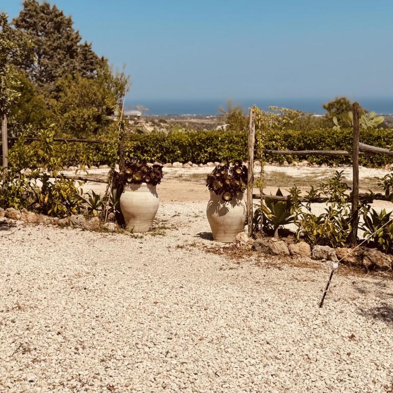 Villa Il Carrubo val di noto con piscina privata - Villa con 2 Camere da Letto - 67
