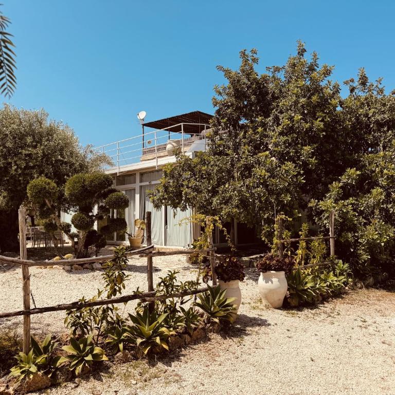 Villa Il Carrubo val di noto con piscina privata - Villa con 2 Camere da Letto - 5