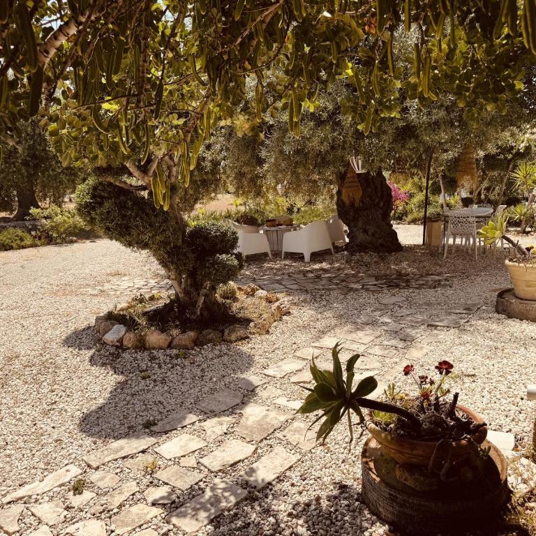 Villa Il Carrubo val di noto con piscina privata - Villa con 2 Camere da Letto - 13
