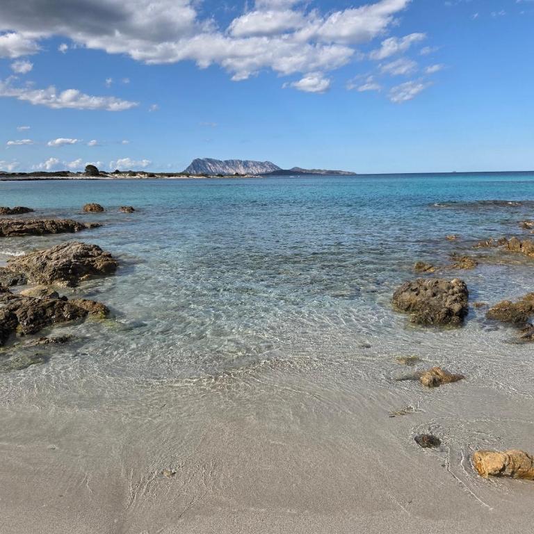 Casa Lara San Teodoro - Appartamento - Piano Terra - 11