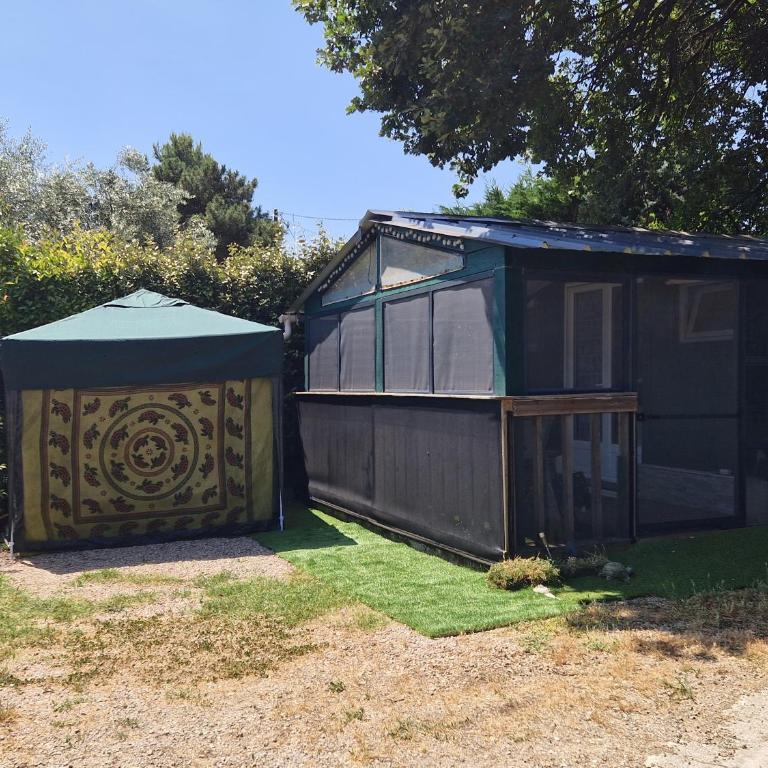 Chalet de 25 m2 avec jardin, piscine et spa uniquement accessible en juin sept - Chalet 1 Chambre - 1