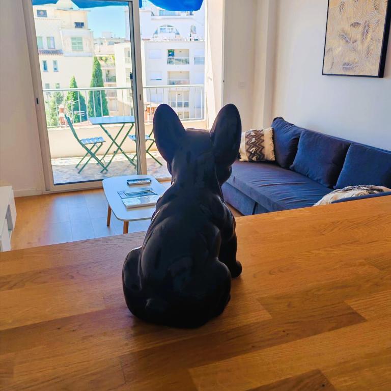 Superbe sudio Juan Les pins 2mins des plages hypercentre - Apartamento - 58