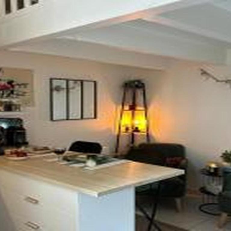Duplex de La Comédie, Hyper-Centre - Apartamento de 1 dormitorio - 14