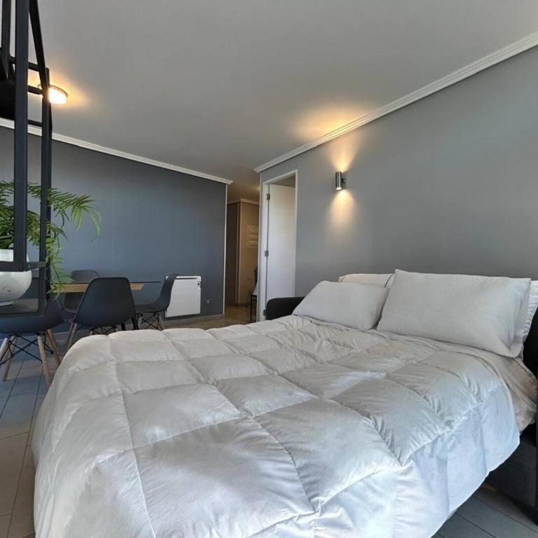 Hermosa vista de stgo 3d 2b - One-Bedroom Apartment - 5