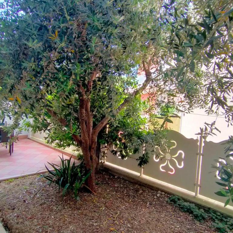 Appartamento quadrilocale 50 mt DAL MARE Taunus Vacanze cod 498 - Appartamento con 3 Camere da Letto - 19