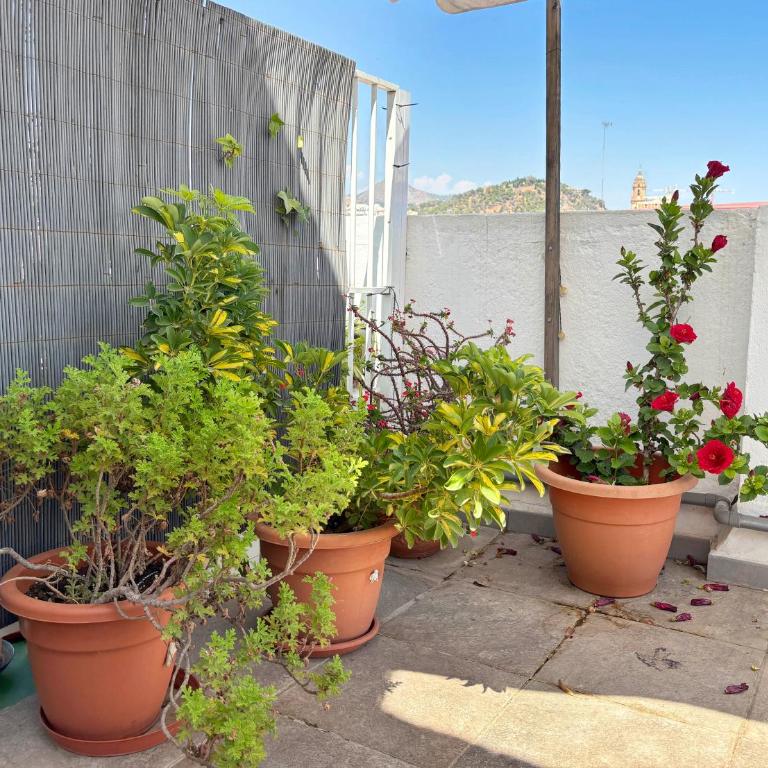 Atico Armengual OnlyMalaga - Apartamento Ático - 13