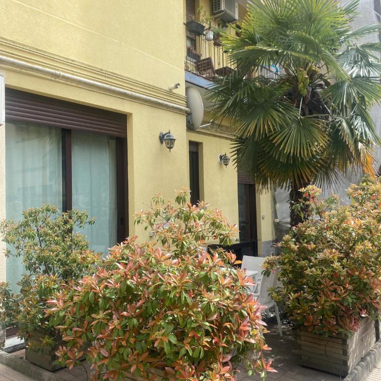 Artist s residence 80 mq with garden and palm tree - Appartamento con 1 Camera da Letto - 17
