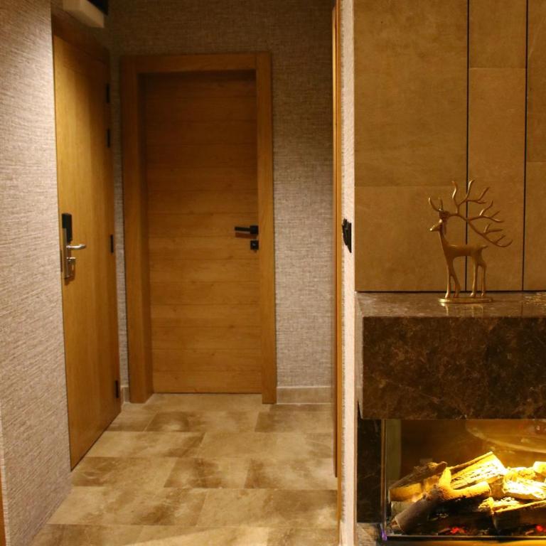 Apartment MonteBreza Spa - Apartman sa 1 Spavaćom Sobom - 36