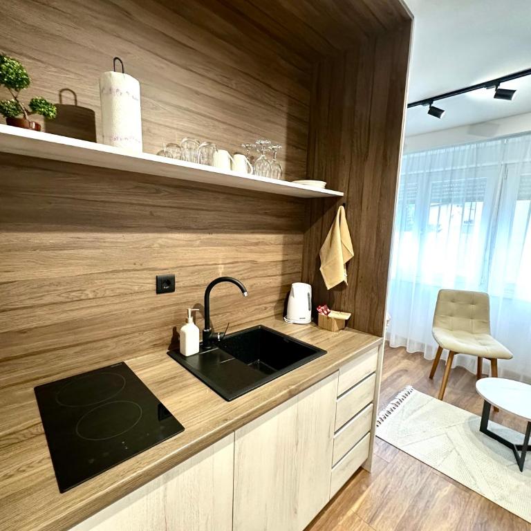 Lux Apartments NK - Old Town - Studio apartman sa 1 bračnim krevetom - 3