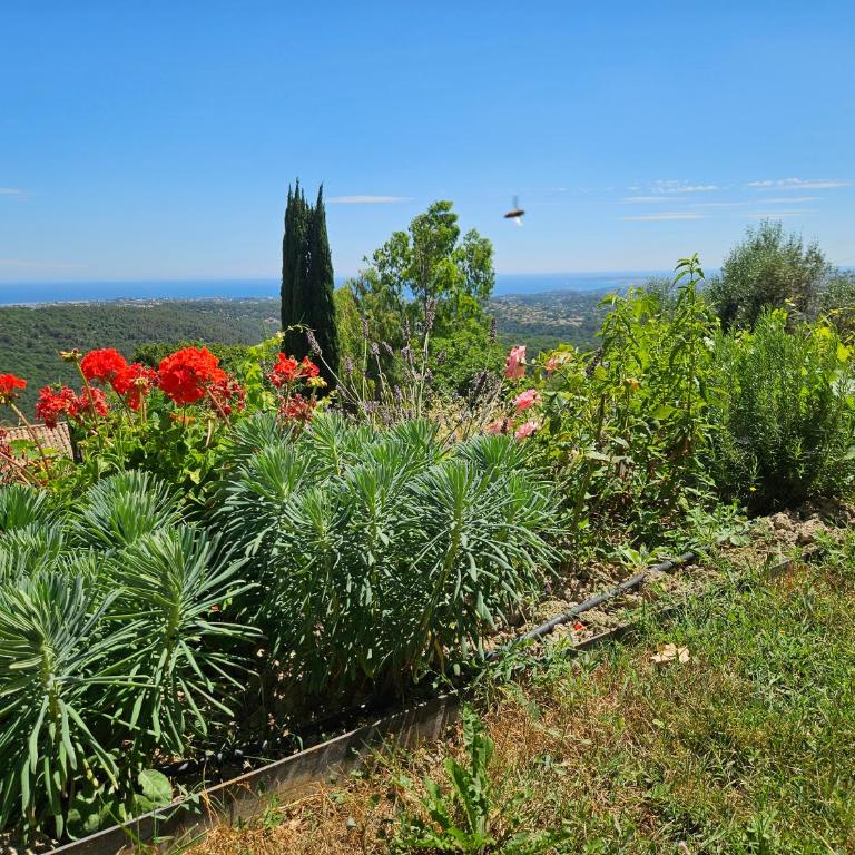 Appartement VUE MER an der Côte d'Azur für 2-3 Personen mit Gartenanteil - Appartement 1 Chambre - Vue sur Mer - 4