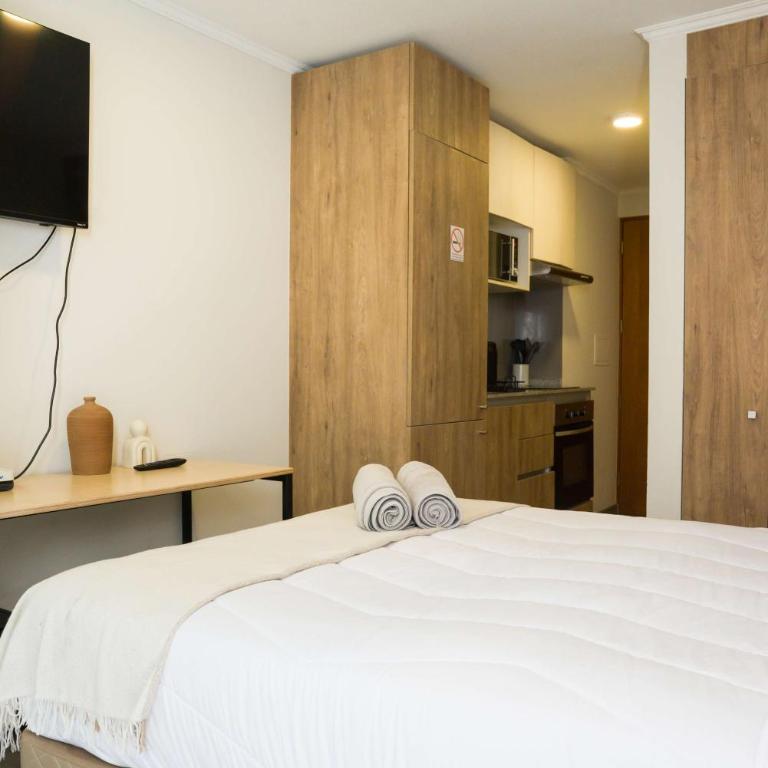 Chic Downtown Studio Retreat for Two in Santiago - Estudio - 6