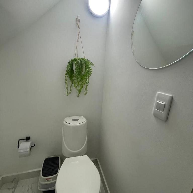 Apartamento entero privado excelente ubicación - Apartamento de 2 dormitorios - 4