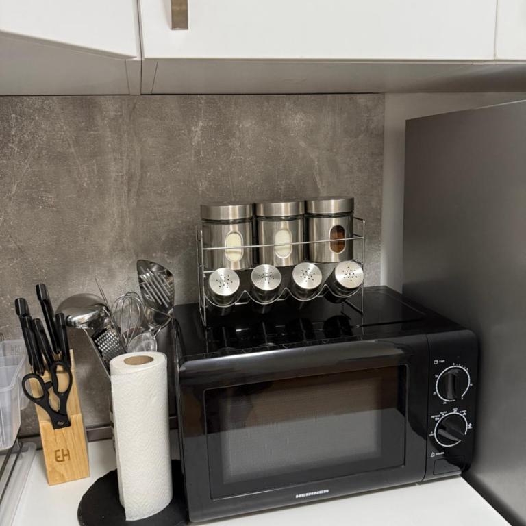 Nur Bulevar - Apartman sa 1 Spavaćom Sobom - 13