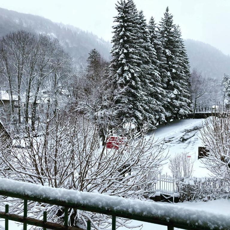Cosy T2 au Mont Dore Sauna privé et vue montagne proche thermes - Apartment mit Sauna - 33