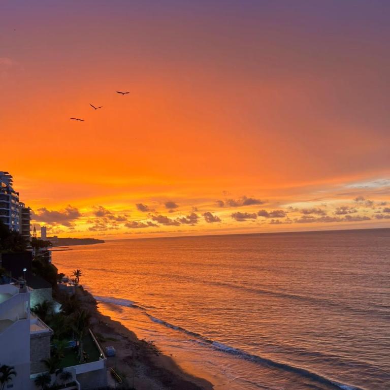 Apartamento de playa recién remodelado - Apartamento de 1 dormitorio - 17