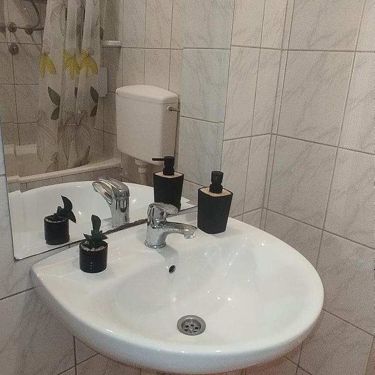 Centar Novi Sad - Apartman sa 1 Spavaćom Sobom - 12