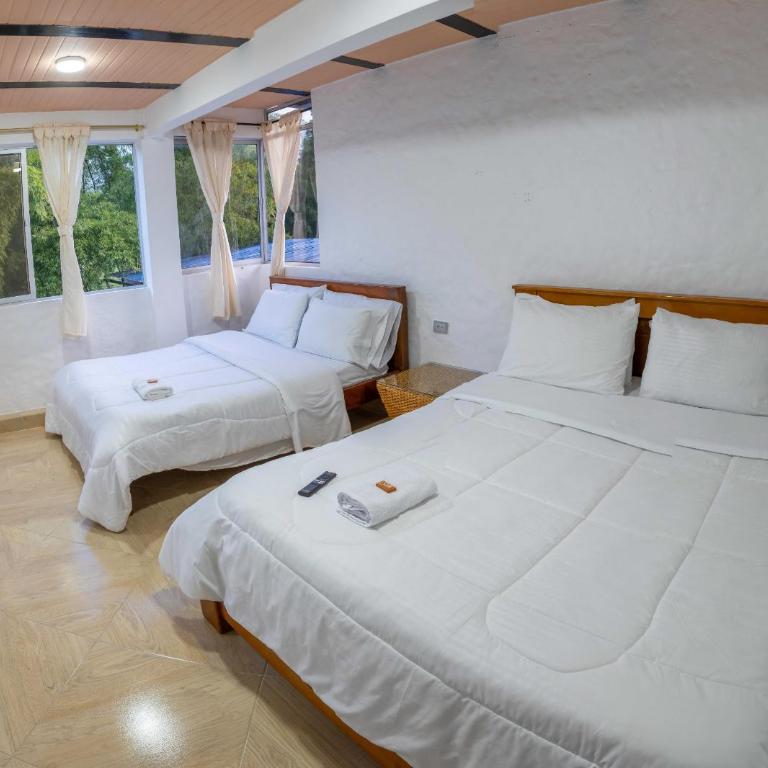 Hotel Macizo Tiaguanaco - Suite - 2