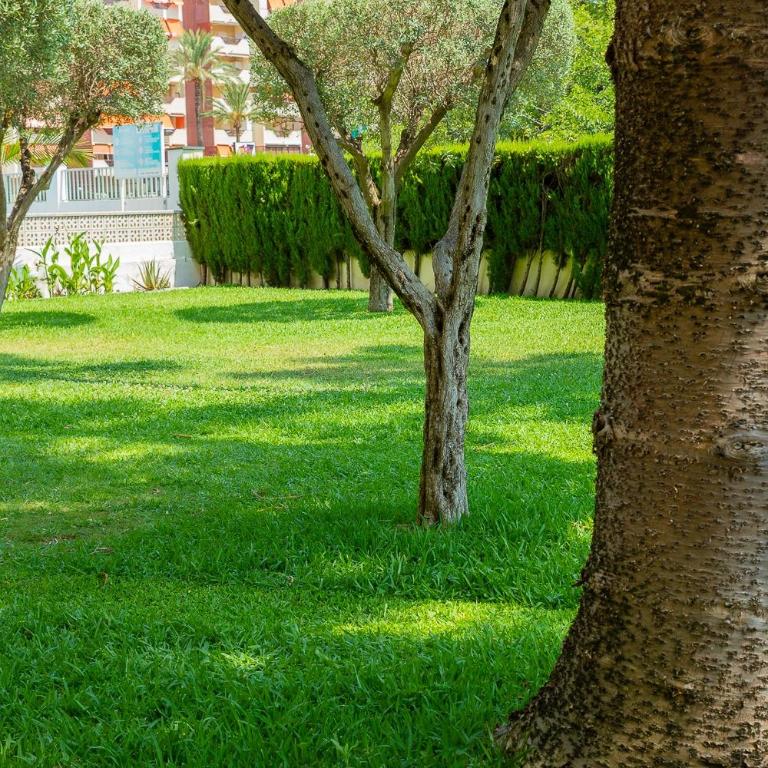LaraMar Solo Familias Apartamento vistas al mar - Apartamento de 3 dormitorios - 26