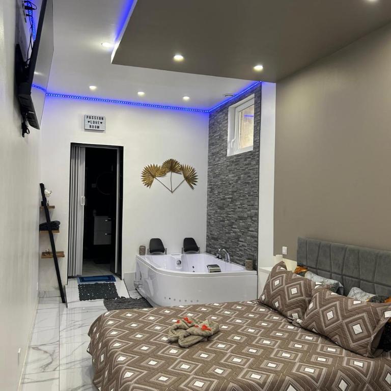 Suite GOLD L Amaryllis I Jacuzzi & Sauna privé I Centre Béziers Arrivée autonome - Appartement 1 Chambre - 9