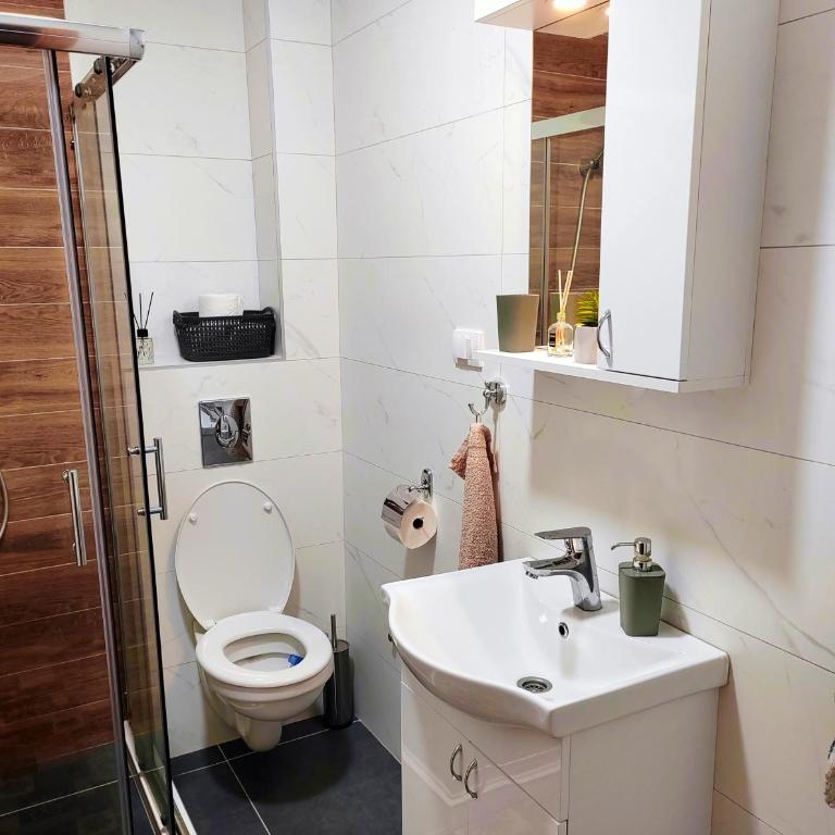 Apartman Sunčani vrhovi Zlatibor - One-Bedroom Apartment - 9