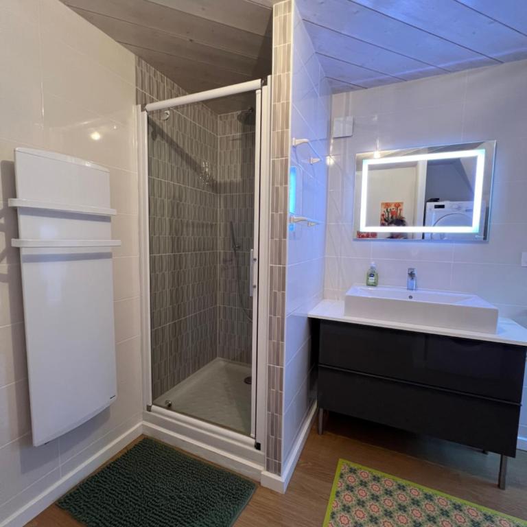 La Pistacherie à 30m de la plage de Grande Rive - Two-Bedroom Apartment - 25