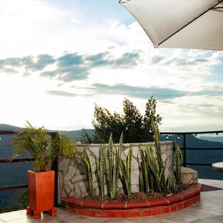 Glamping Pedro - Villa de 1 dormitorio - 8