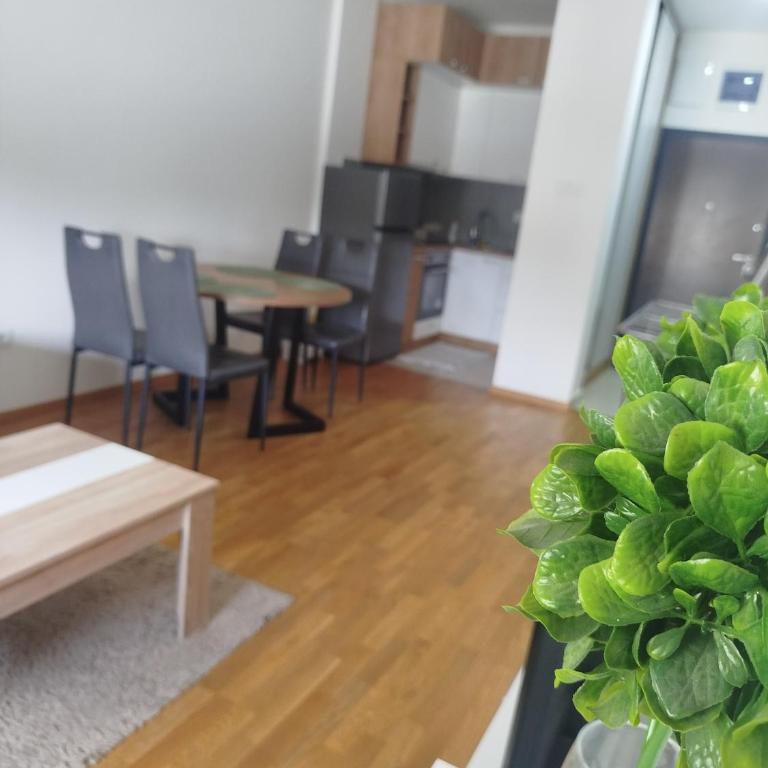 Apartman Tasha - Apartman sa 1 Spavaćom Sobom - 1