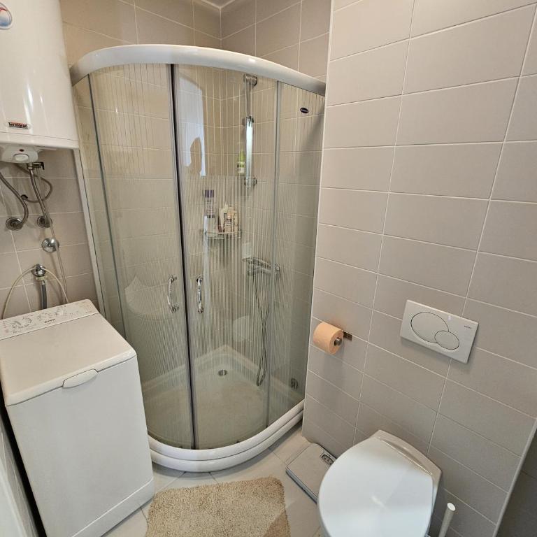 Maslacak Lila Apartment - Apartman sa 1 Spavaćom Sobom - 19