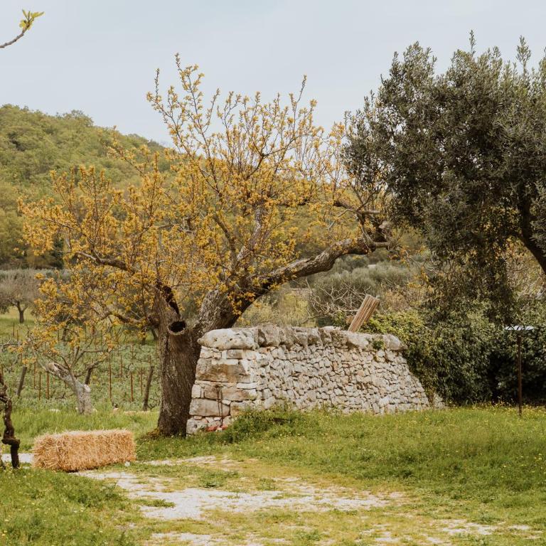 i Trulli di Figazzano - Casa con 1 Camera da Letto - 27