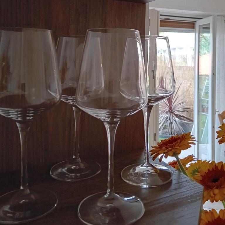 Le Mimose Garden - Appartement 1 Chambre - 29