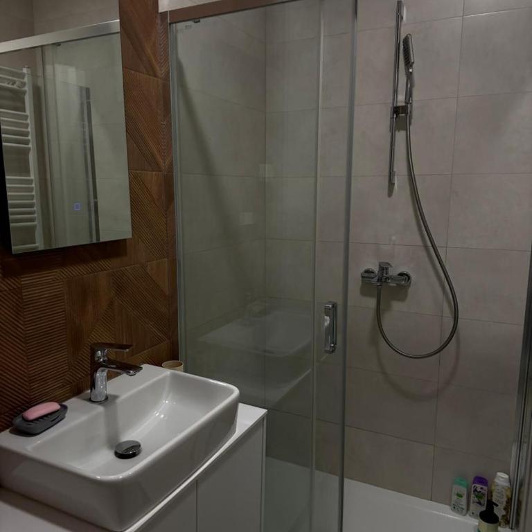 Panorama apartman - Apartman sa 1 Spavaćom Sobom - 8