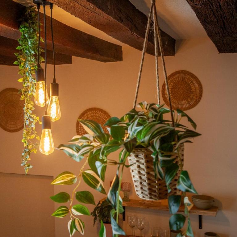 Cabane suspendue au cœur de Blois - Apartment mit 1 Schlafzimmer - 14