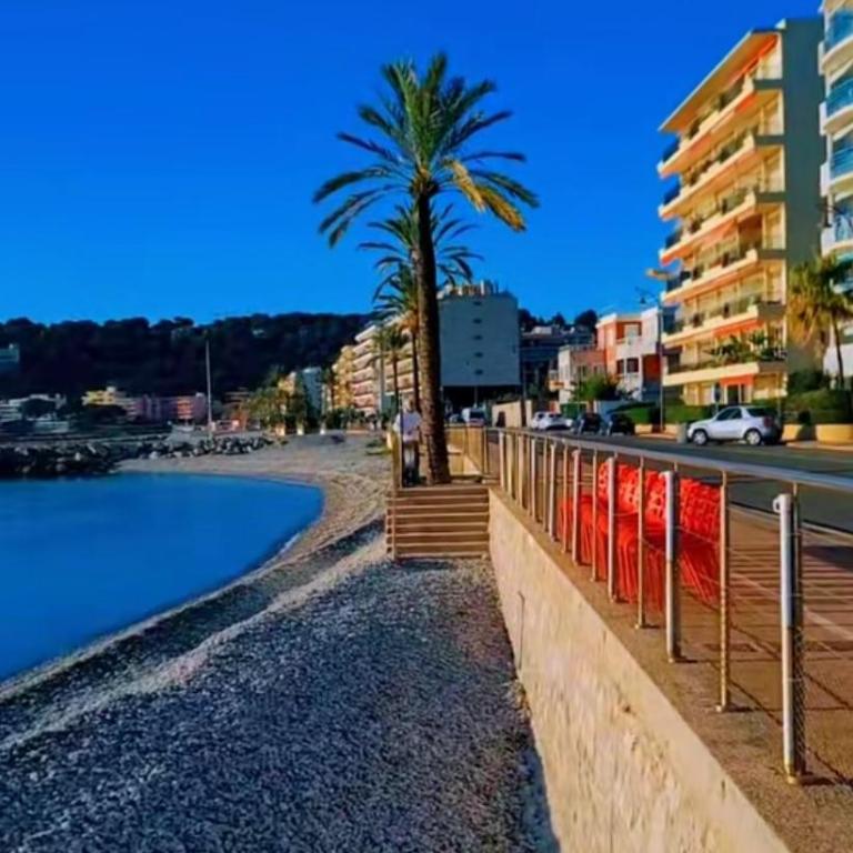 Les ligures - Appartement 1 Chambre - 15
