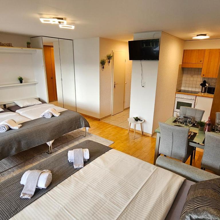 Studio 4103 Les Sources aux Bains d'Ovronnaz - Studio - Vue sur Piscine - 4
