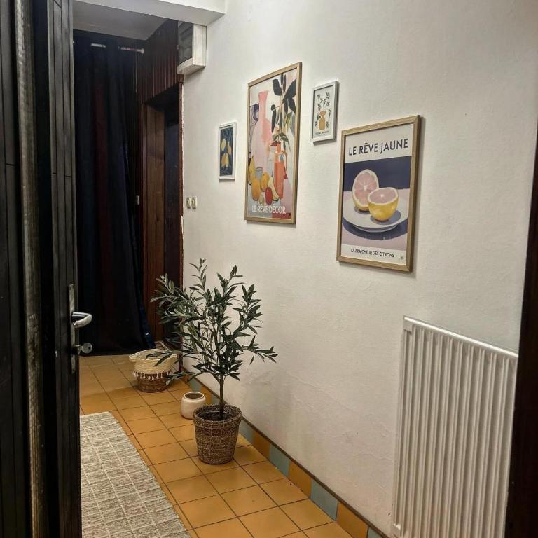 Mundial Apartment - Apartman sa 2 Spavaće Sobe - 11