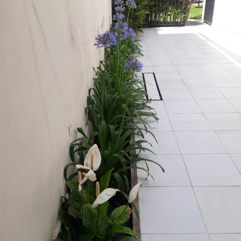 spectacular house with 4 bedroom in barrio sur with a pool - Four-Bedroom House - 2