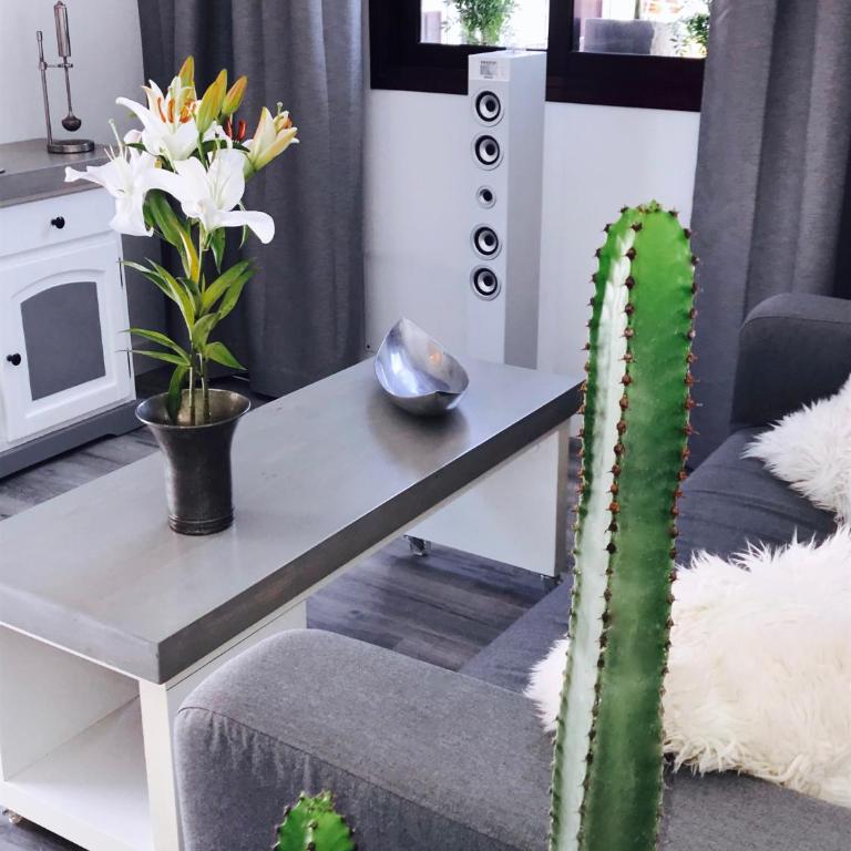 Penthouse Valle Gran Rey - Apartamento de 2 dormitorios - 32