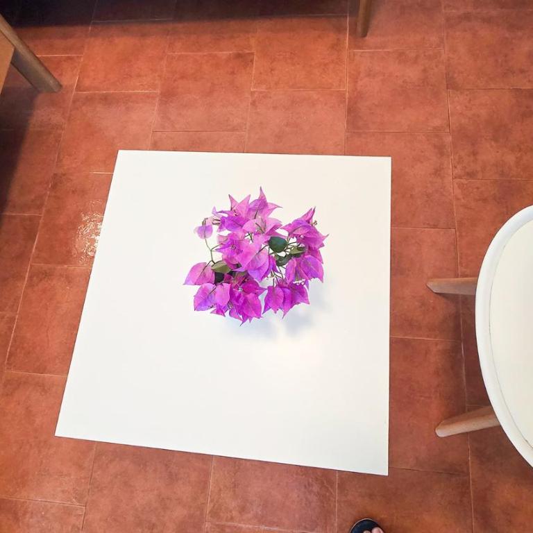 Apartments Zora, Sea View Balcony, Free Parking in Dobrota Kotor - Three-Bedroom Apartment - 22