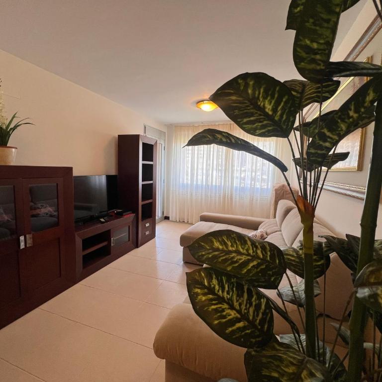 Paradise Sunset 100 HardRock Apartment - Apartamento de 1 dormitorio con vistas al mar - 42