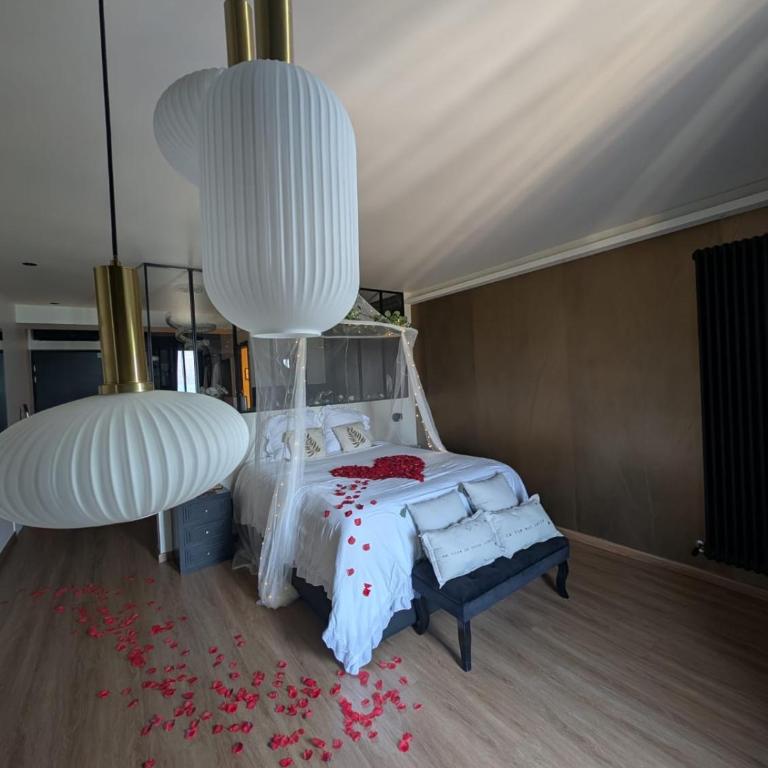 Cocon Chic Aix les bains - Apartment mit 1 Schlafzimmer - 18